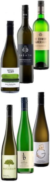 Gelber Muskateller 6er Probierpaket